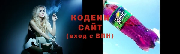 молекула духа Лабытнанги