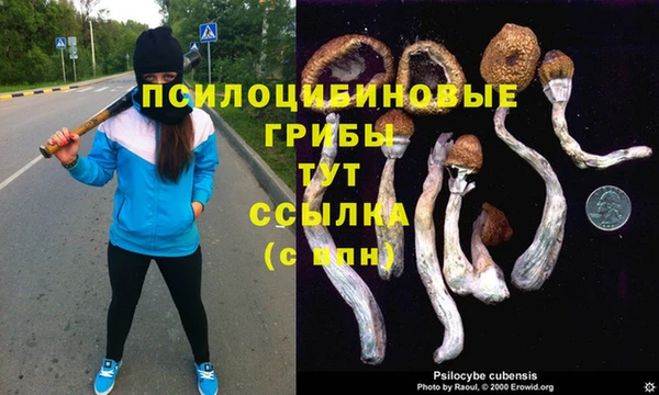 МДПВ Ладушкин