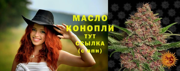 молекула духа Лабытнанги