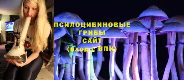 МДПВ Ладушкин